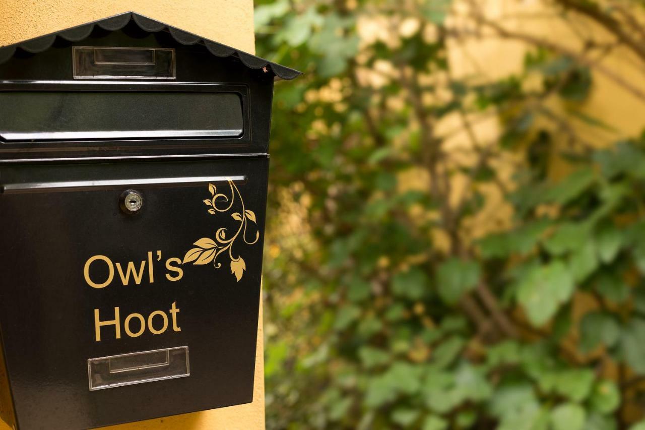 Villa Owl'S Hoot Thorndon Exterior foto